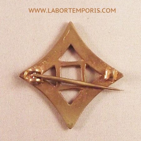 roman  brooch