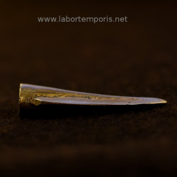 arrowhead