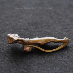 roman  brooch