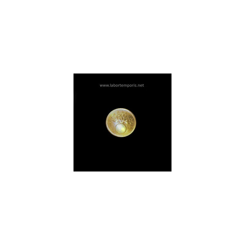 French military button