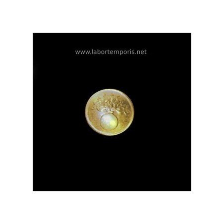 French military button