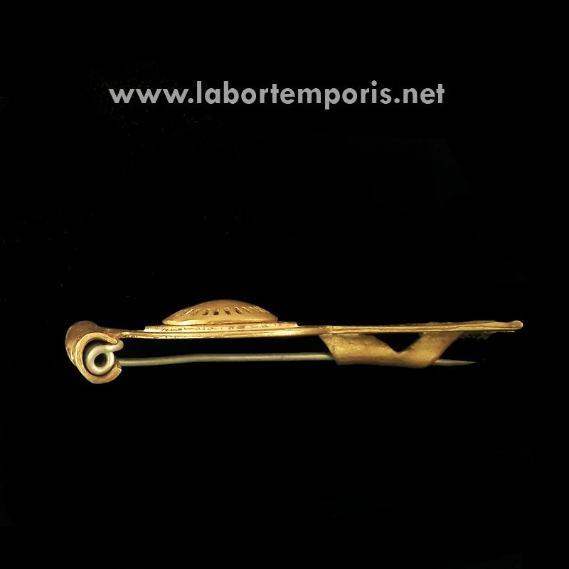 roman  brooch