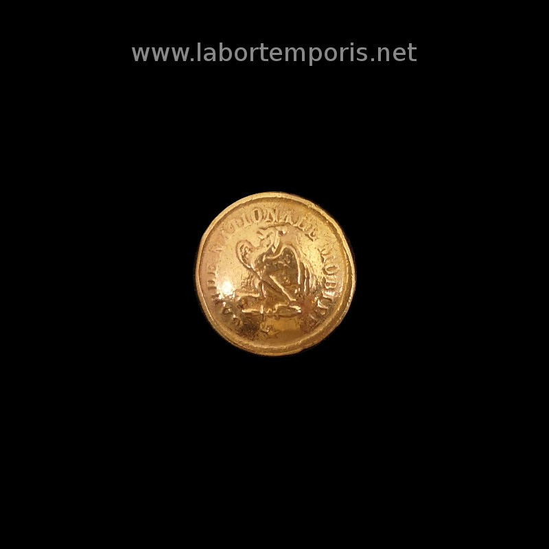 French military button