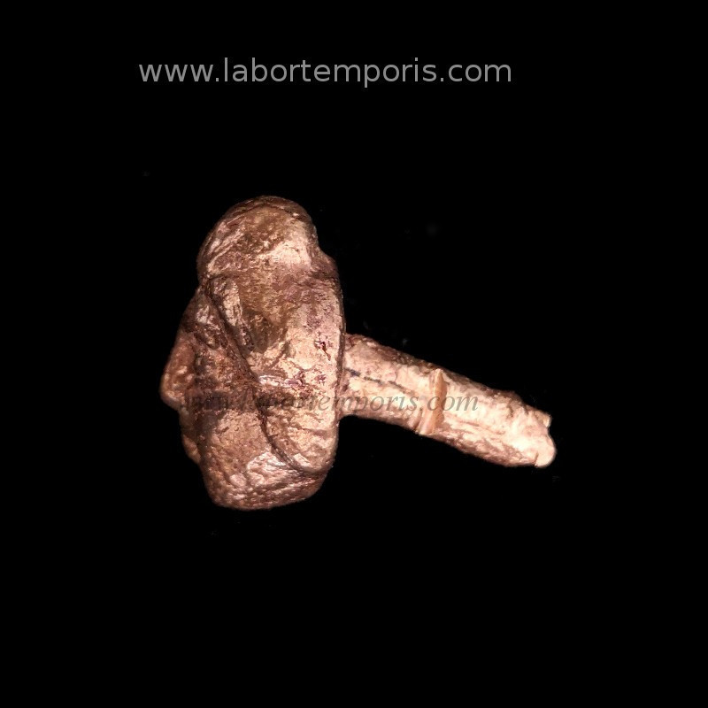 Roman furniture aplique