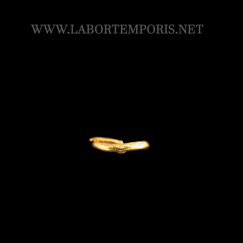 fibbia medievale per scarpe