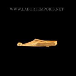 Medieval shoe buckle